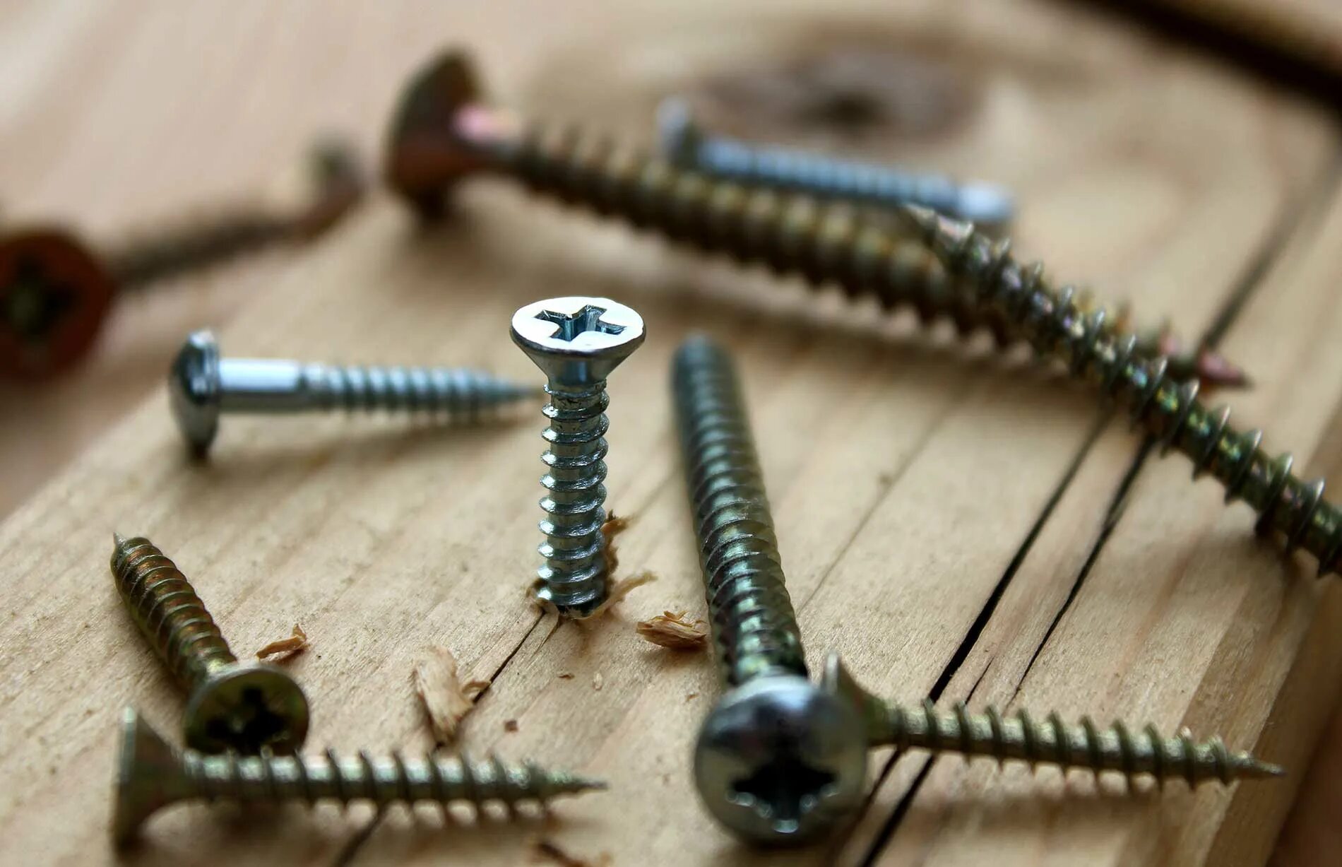 Шурупы по дереву. Hidden wood screw. Wood screws. Декоративные шурупы для дерева. Hidden wood screw.