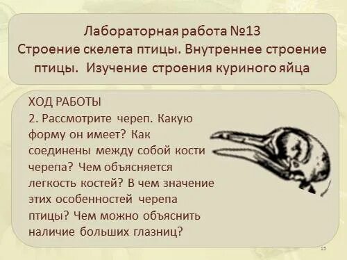 Исследование особенностей скелета птицы лабораторная работа 8. Лабораторная работа изучение строения скелета птицы. Птица лабораторная работа. Лабораторная работа изучение и строение птиц. Лабораторная скелет птицы.