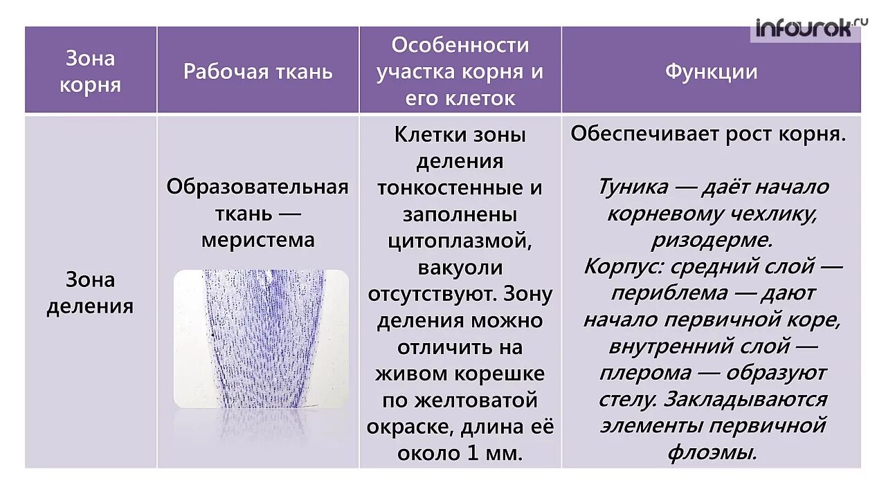 Какую функцию выполняет земля
