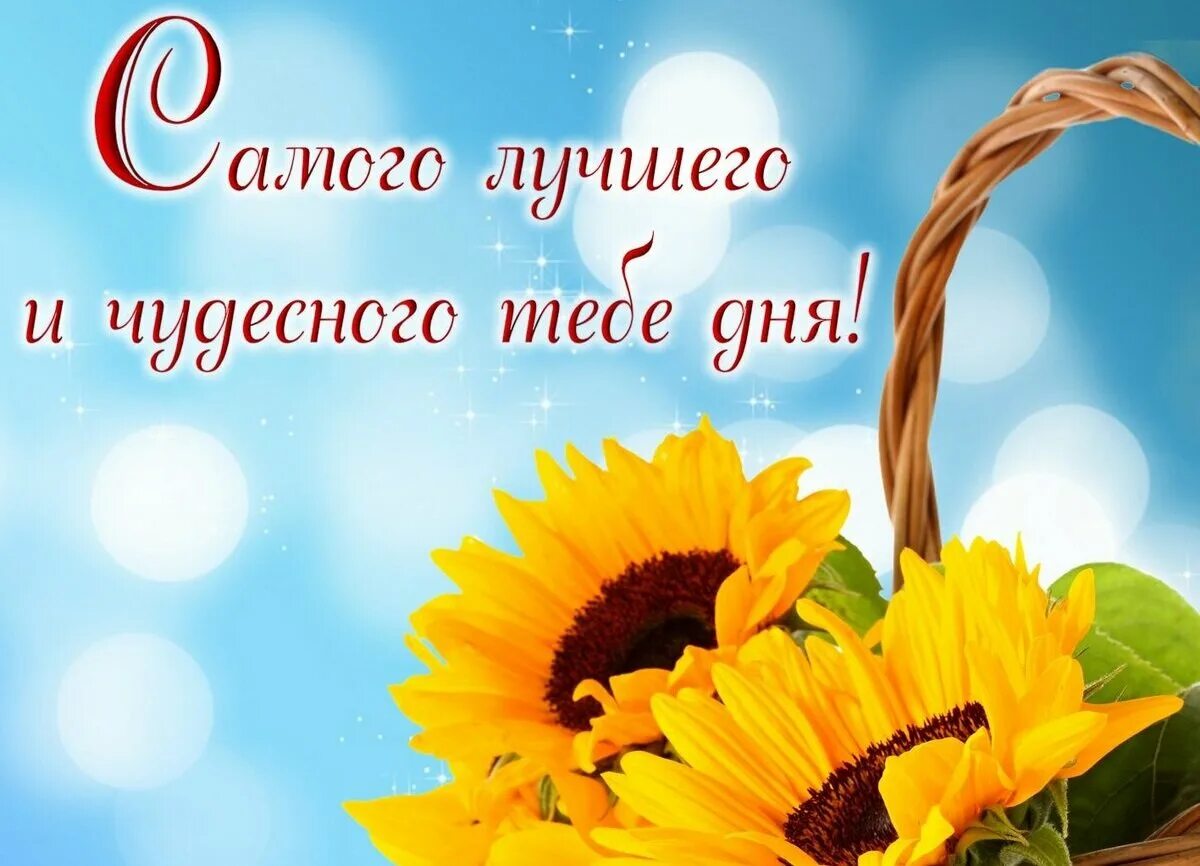 С праздником и хорошего дня. Хорошего дня и отличного настроения. пожелания доброго дня. хорошего дня и отличного. открытки с пожеланиями хорошего дня.