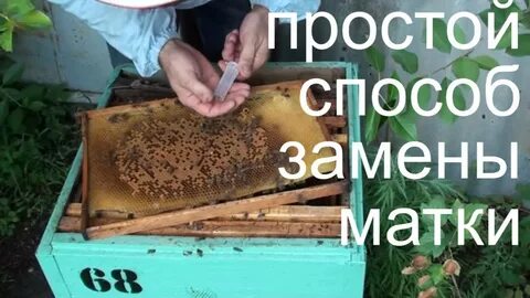 Пожилая матка