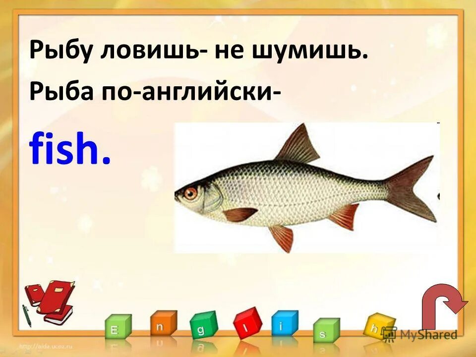 рыба звон. треска gadus morhua. шумная рыба. Freshwater drum how to catch. дорада красная рыба.