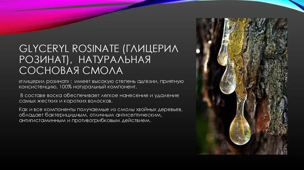 Смола некоторых деревьев сканворд 8 букв. Глицерил розинат. glyceryl rosinate. сосновая смола. розинат.