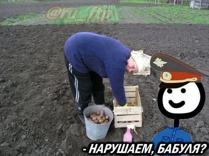 Давайте копать