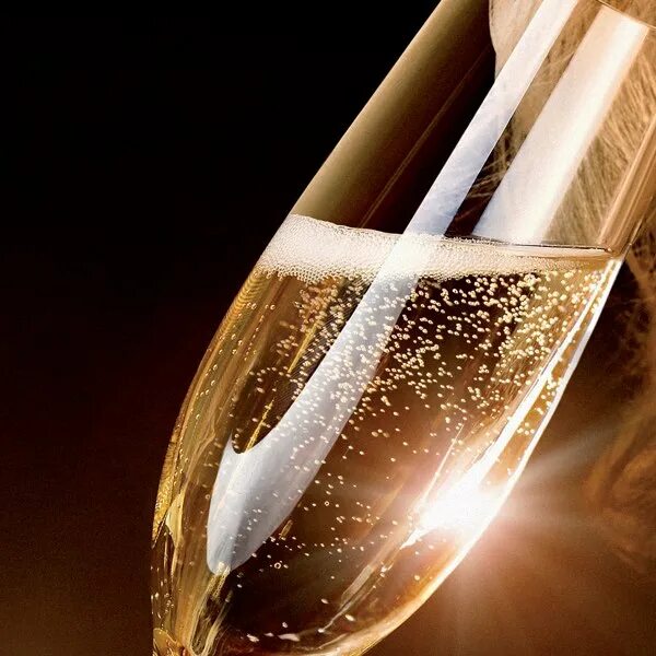 шампанское бокал пузыри. пузырьки шампанского в бокале. как называются пузырьки в шампанском. перляж шампанское. шампанское формула химическая.