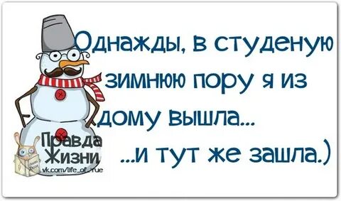 Однажды в студеную зимнюю пору упр 63