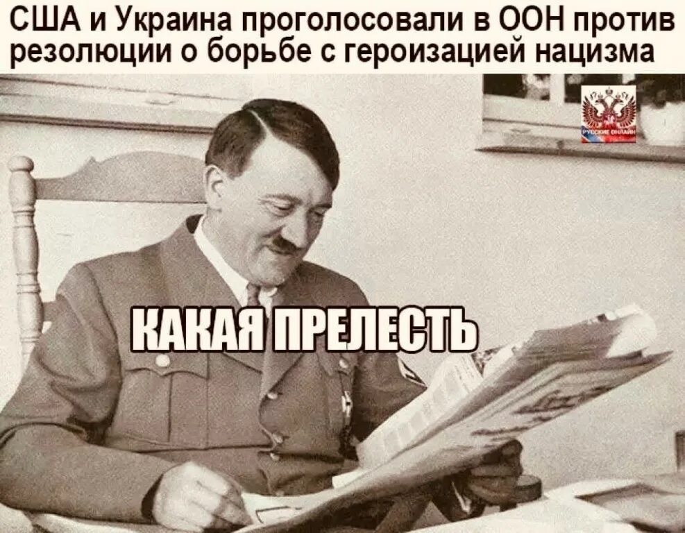 Украина и США голосуют против героизации нацизма. Борьба с героизацией нацизма. Резолюция ООН О героизации нацизма. Резолюция о борьбе с героизацией нацизма.