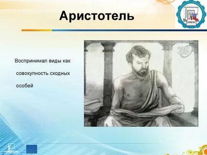 Принцип золотой середины аристотеля
