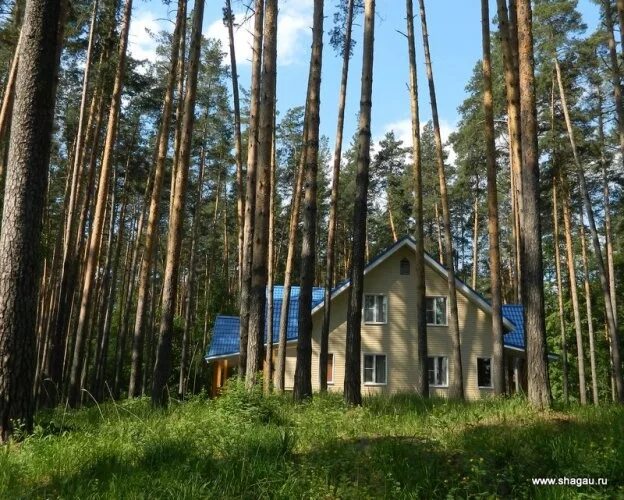 Пансионат Волга Нижегородская область. Пансионат Волга Балахнинский район. Пансионат Волга Нижегородская область Балахнинский район. Пансионат Волга Лукино.