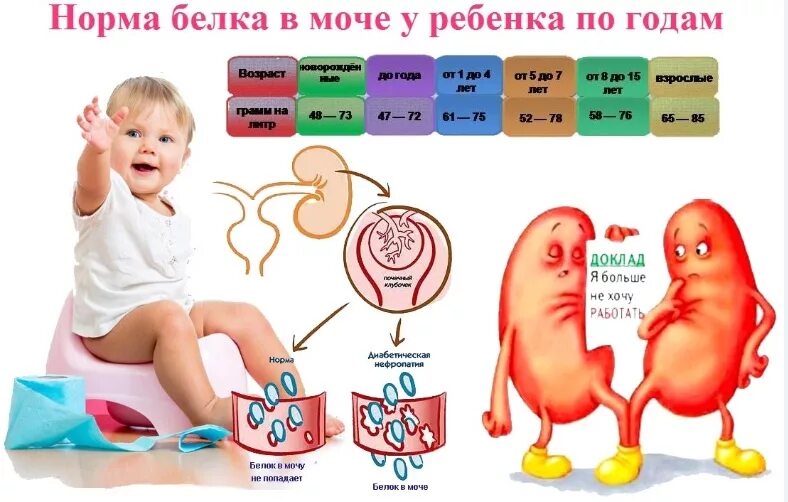 Показатель белка в моче. Норма белка в моче у детей до 1 года. Норма белка в моче у ребенка 1 год. Белок в моче у грудничка 3 месяца норма. Норма белка в моче у детей 7 лет.