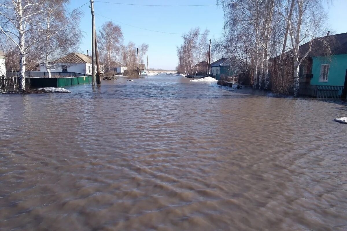 Какие районы затопило в алтайском крае
