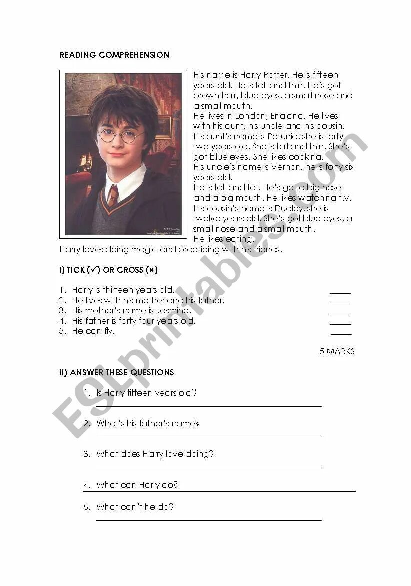 Harry potter daily routine. Harry potter reading comprehension. harry potter comprehension. гарри поттер daily routine. тест английский язык 6 класс с ответами про гарри поттера.