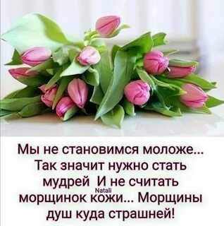 Мудрые и молодые