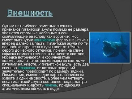 Наиболее заметный
