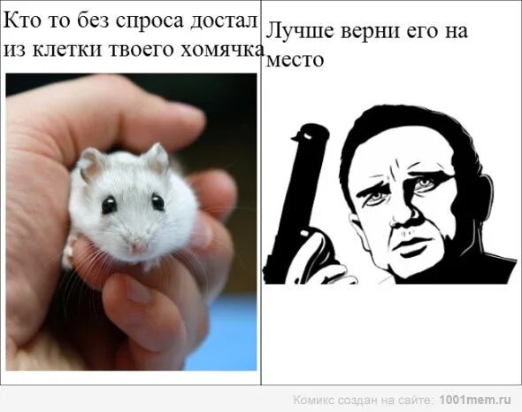 Мемы с хомяками. Хомячки мемы. Я хомяк. Комиксы про животных. Смешные хомяки.