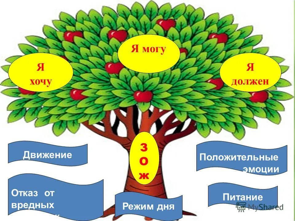 Внеклассное мероприятие здоровье. Дерево здорового образа жизни. Дерево здоровья для детей. Дерево здоровья для дошкольников. Дерево здоровья в школе.