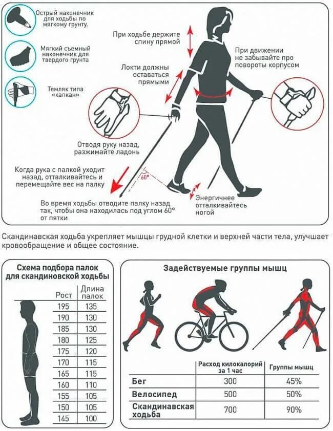 Сколько калорий можно сжечь за час ходьбы. Палки для скандинавской ходьбы Atemi ATP-02, стекловолокно, 105 см. Палки для скандинавской ходьбы Размеры. Палки для скандинавской ходьбы подобрать по росту. Таблица для выбора палок для скандинавской ходьбы.