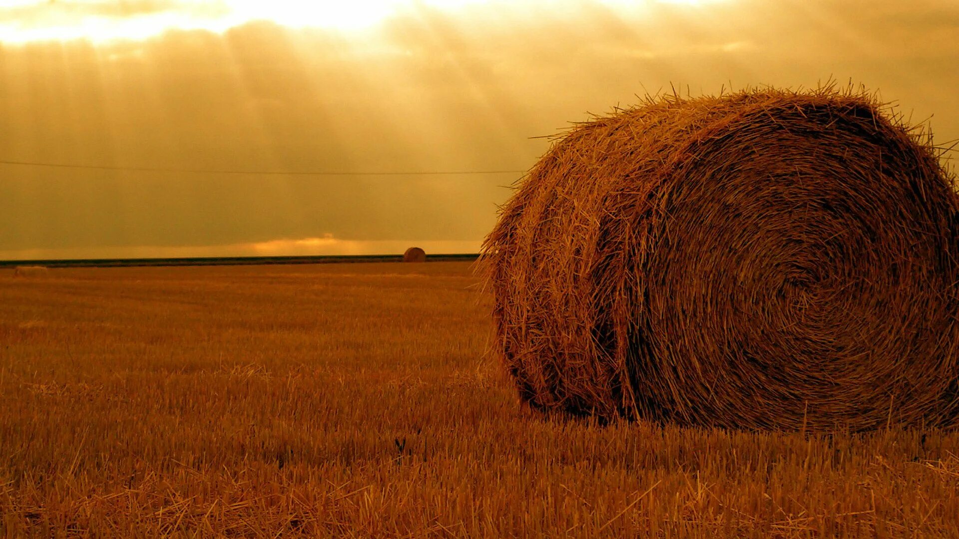 Скирда сноп. Стог Колхун. Поле со стогами сена. Рулоны сена на поле. Сено омская область