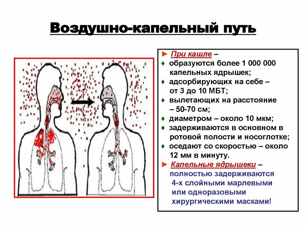 Легко передается воздушно капельным. Воздушно-капельный путь передачи инфекции. Воздушно капельный путь передачи болезней. Механизм передачи воздушно-капельных инфекций. Воздушно-капельный путь инфицирования..