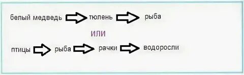 Схема арктической пустыни