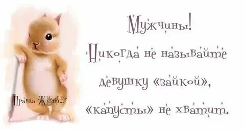 Называй меня зайка
