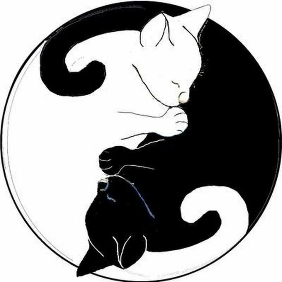 Котик инь. Инь ян коты ррисунок арт. монохромное изображение. монохромные рисунки. силуэт кот и кошка.