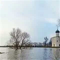 Залитая в половодье 6 букв. Залитая в половодье 6 букв