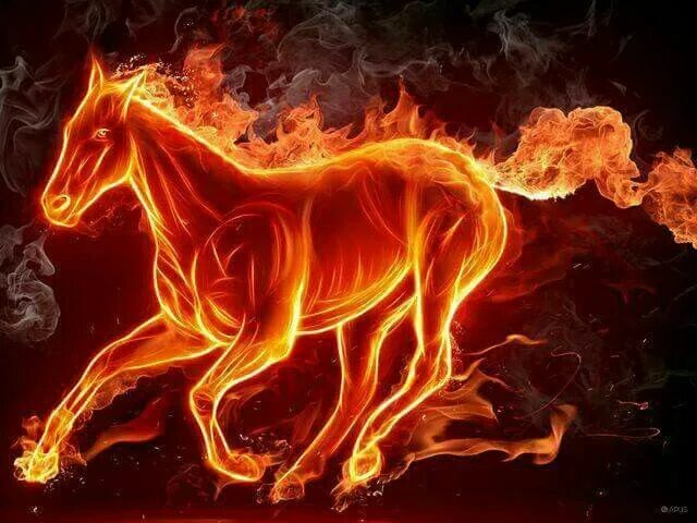 Как выглядит красная огненная лошадь Pin by MAZURIK on хз Fire horse, Horses, Magical horses
