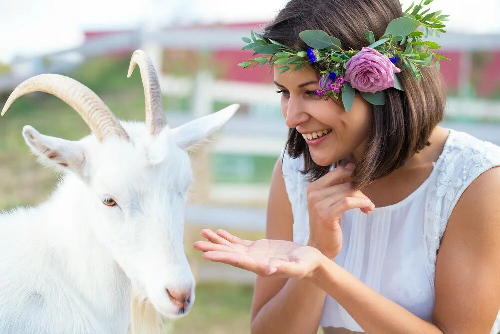 День козы. Григорий кваша векторный брак. Козочка девушка. Свадьба с козлом. Козюк владимир фотограф ольга дудник.
