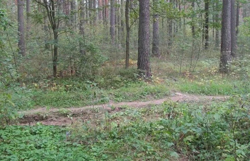 Найдено в минской. Закладки в лесу. Места закладок. Места закладок в лесу. Закладки в лесу летом.