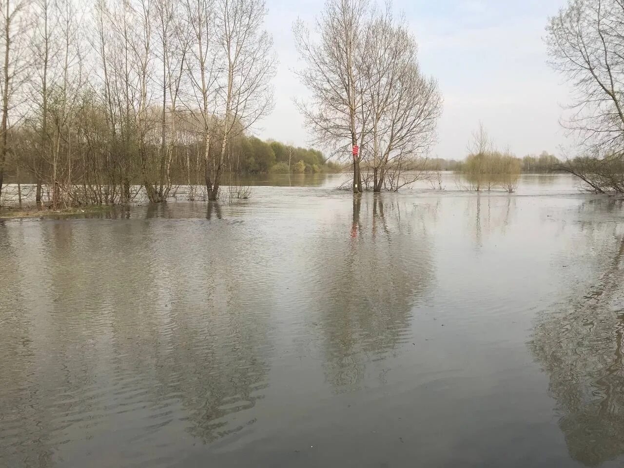 Уровень воды в реках новокузнецка. Половодье. Паводок. Паводок в Кузбассе. Паводок фото.