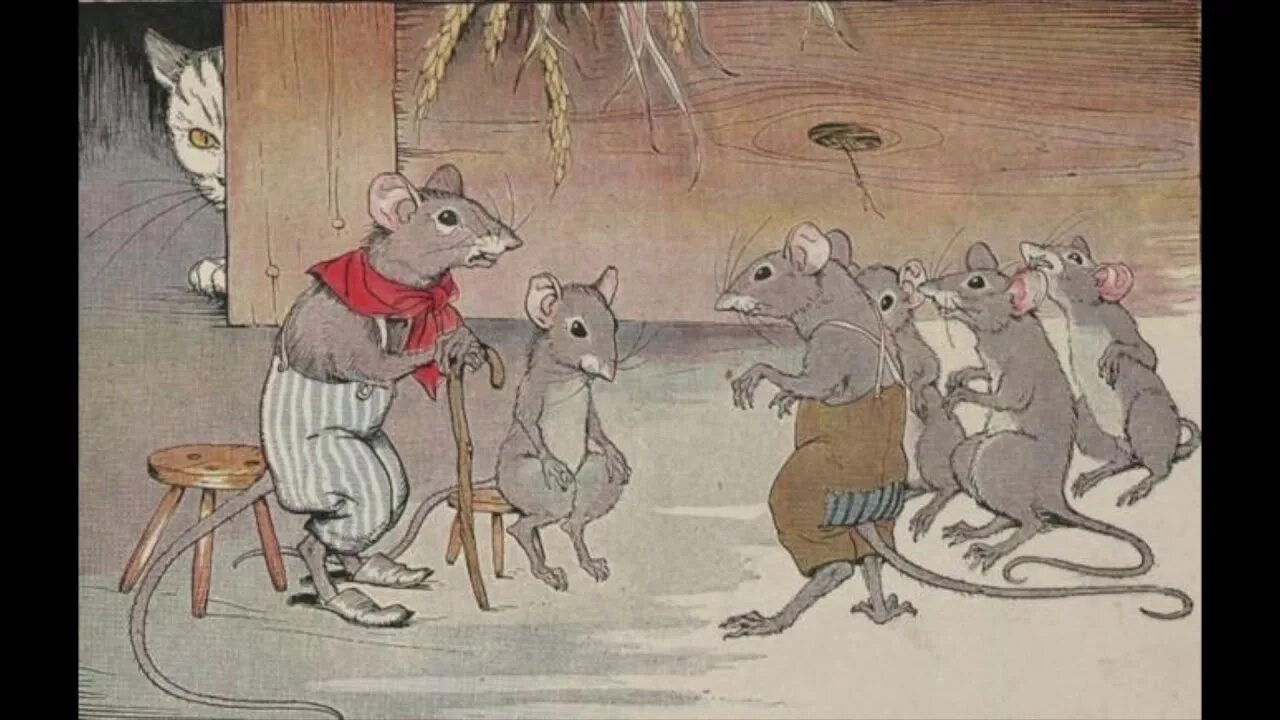 The cat was chasing the mouse