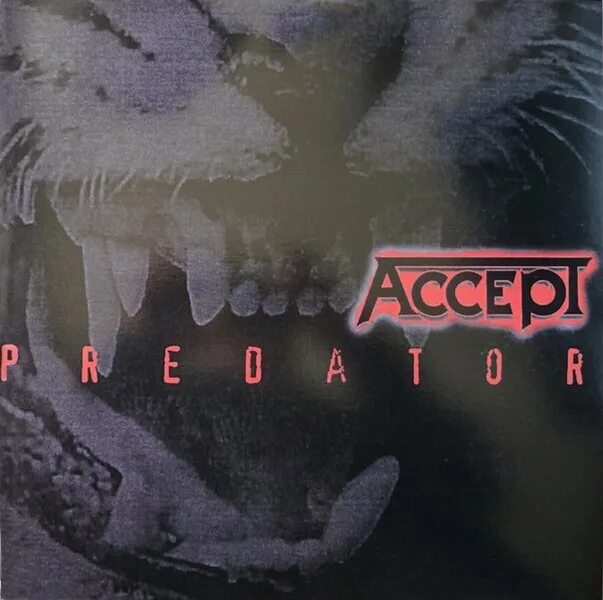 Accept full. Accept 1996 группа. Accept Predator 1996. Accept Predator 1996 обложка. Accept - Predator - обложка альбома.