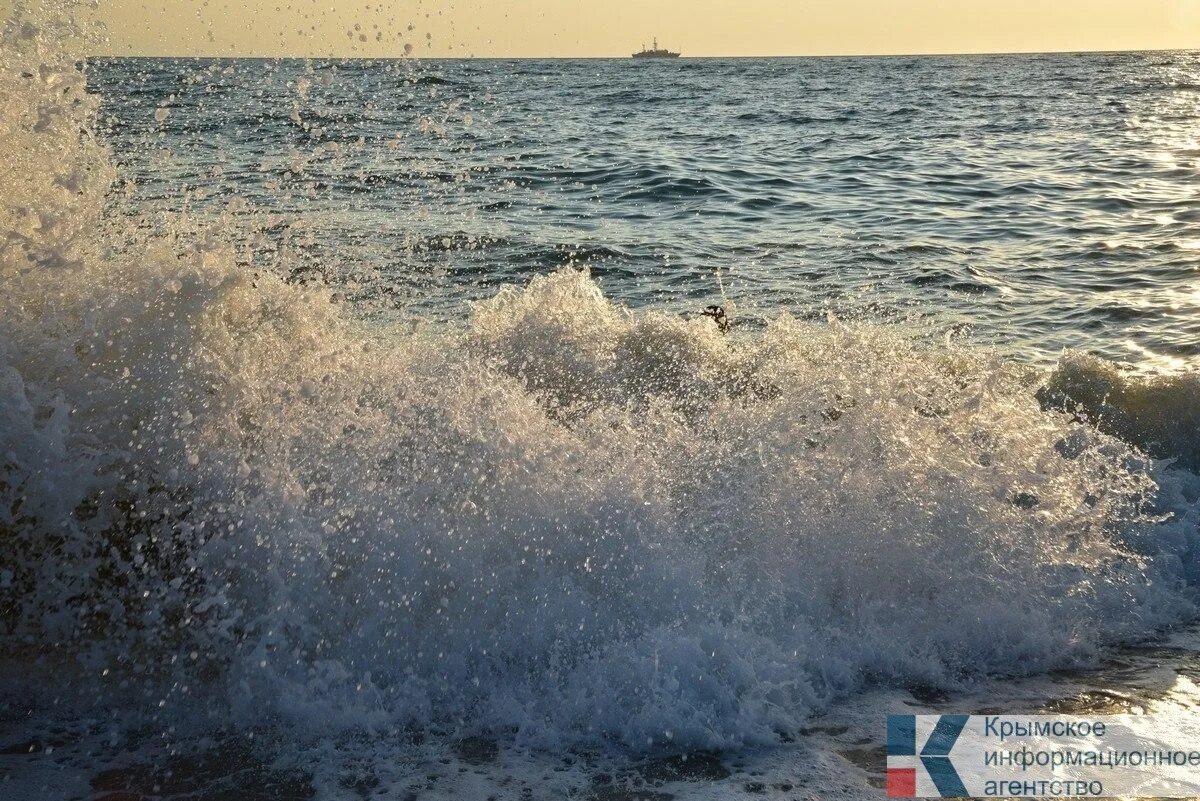 Вода в черном море температура сегодня крым. Море в Черноморском градусов. Азовское море вода. Морская вода Крым. Море в Крыму сейчас.