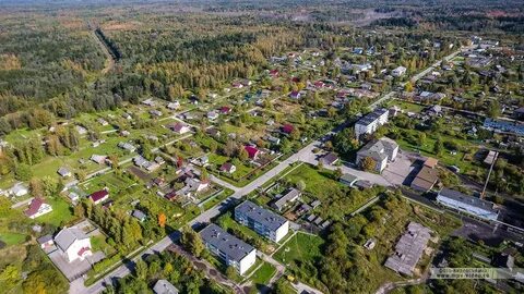 Новгородская область прогноз на 10 дней