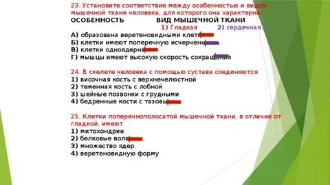 Установите соответствие между типом тканей