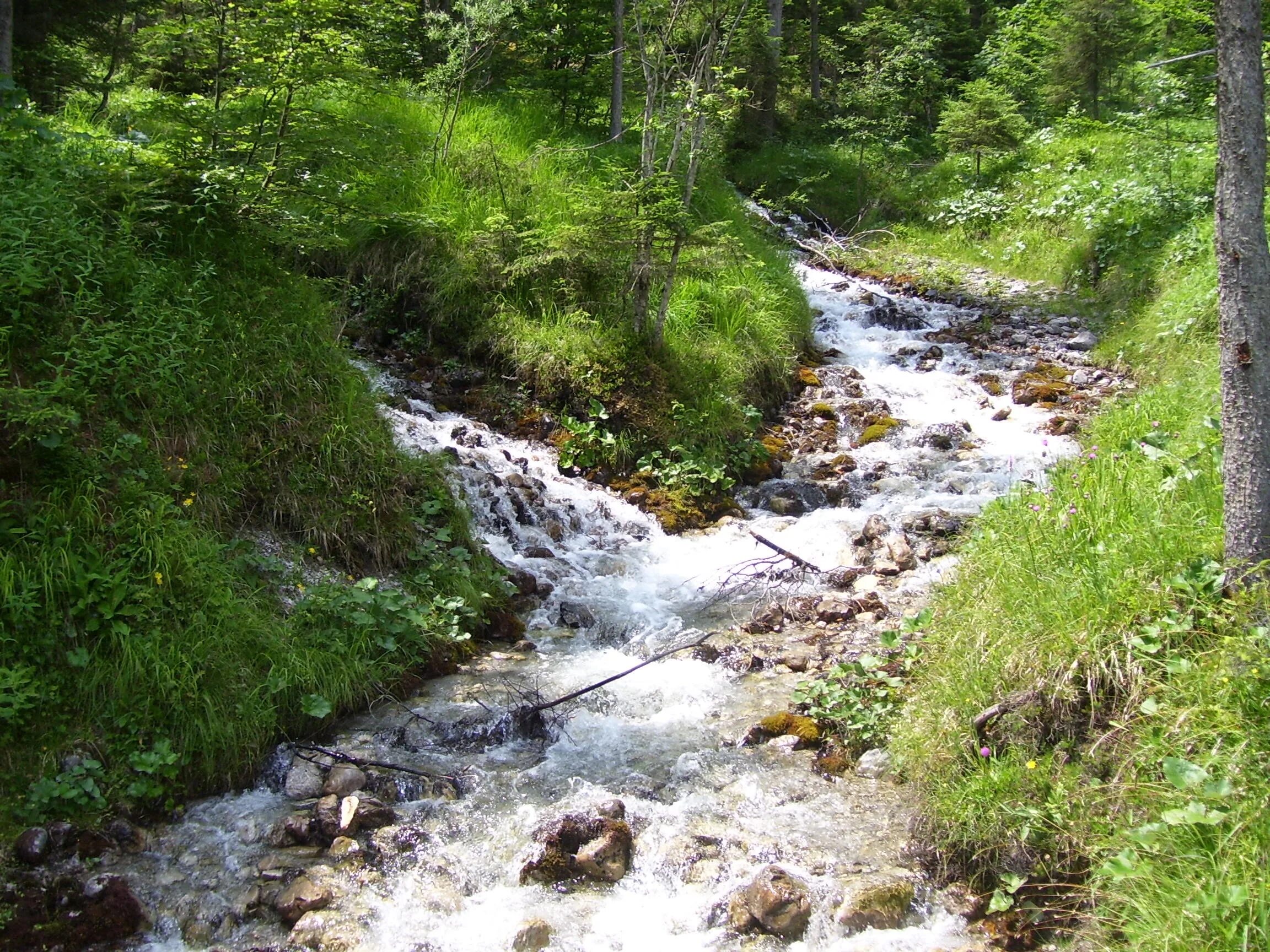 Ручей (Водный поток). Ручей Горюнец. Ручей в горах. Промоина на горной реке. Потоки с гор воды