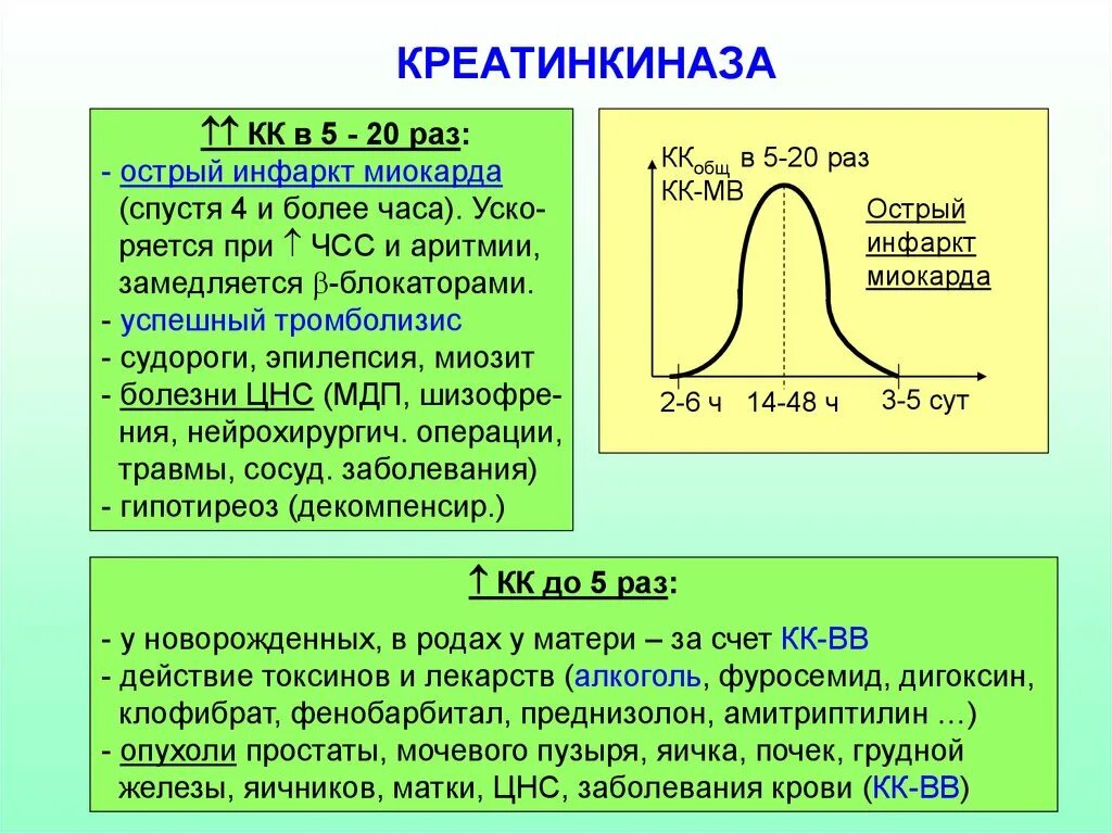 Креатининкиназа повышение у детей. Креатинкиназа повышена что это значит у мужчин. Креатинкиназа повышена что это значит у мужчин. Креатинкиназа повышена что это значит у мужчин. Креатинкиназа повышена что это значит у мужчин.