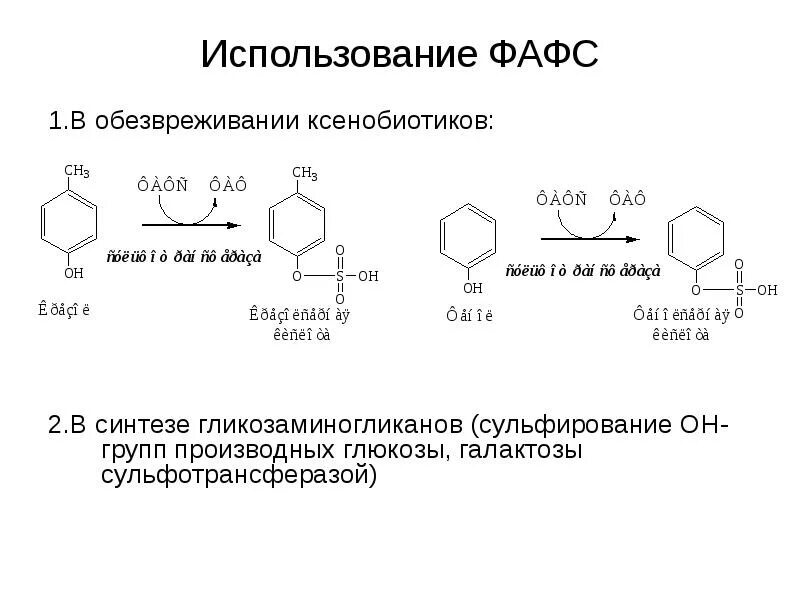 Обезвреживание веществ в печени. Синтез ФАФС. ФАФС формула биохимия. ФАФС роль. Сульфирование Сахаров.