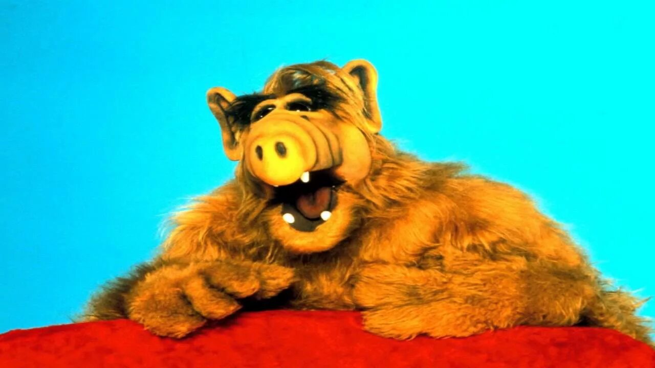 Alf. Alf Regina. Alf лежит. Alf the animated Series. Включи видео альф