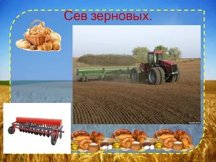 Как выращивают хлеб презентация