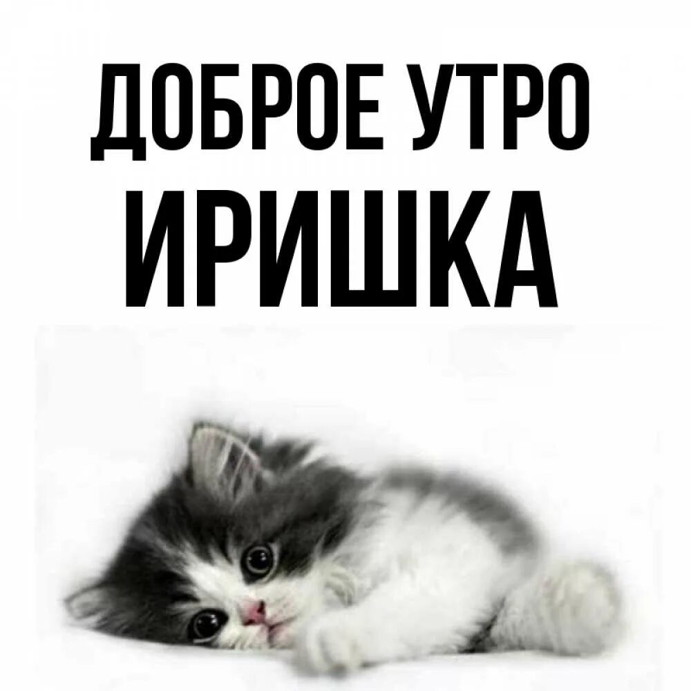 Meme: "ДОБРОЕ УТРО, ИРОЧКА!!!" - All Templates - Meme-arsenal.com