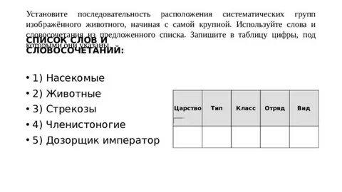 Установите правильную иерархию систематических групп жабы