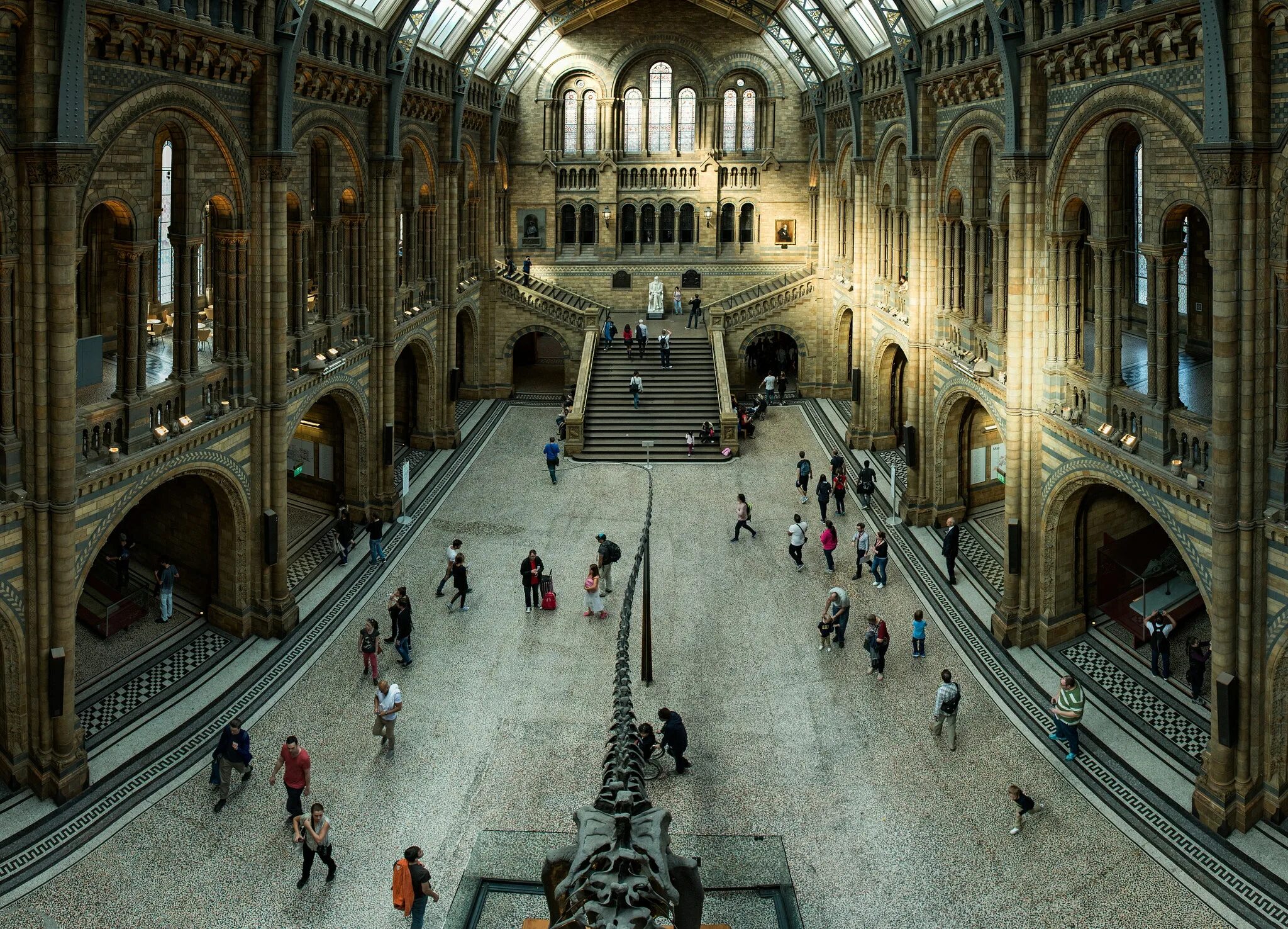 Natural History Museum London. Natural History Museum London Миратерра. Natural History Museum London 19 век. Музей естествознания в Лондоне здание. Знаменитый музей в лондоне