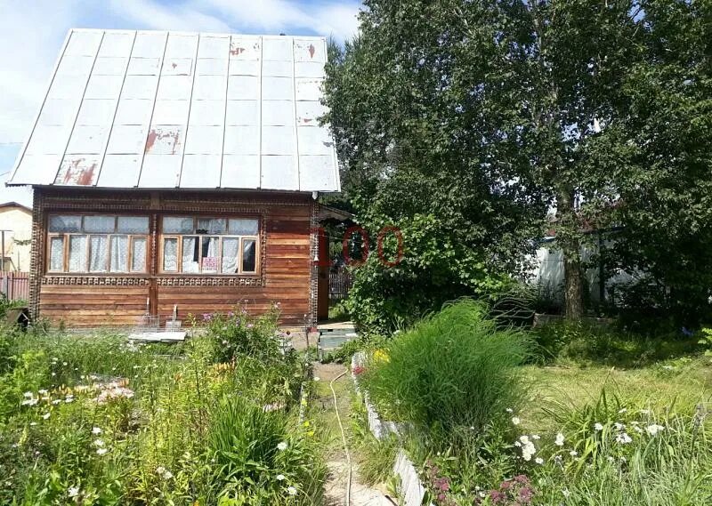 Дача авито камчатский. Дачи 29 км петропавловск-камчатский. Дачная 14. Купить дачу в петропавловске камчатском. Дачи в петропавловске камчатском.