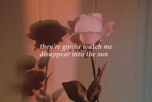 Disappear into. Disappear into the night. watch me disappear. you are all gonna watch me disappear into the sun.