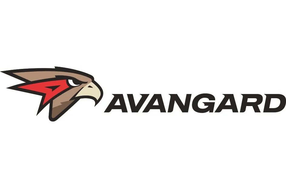 динамо рига авангард. омский авангард логотип. фк авангард курск. хк авангард флаги. авангард картинки.