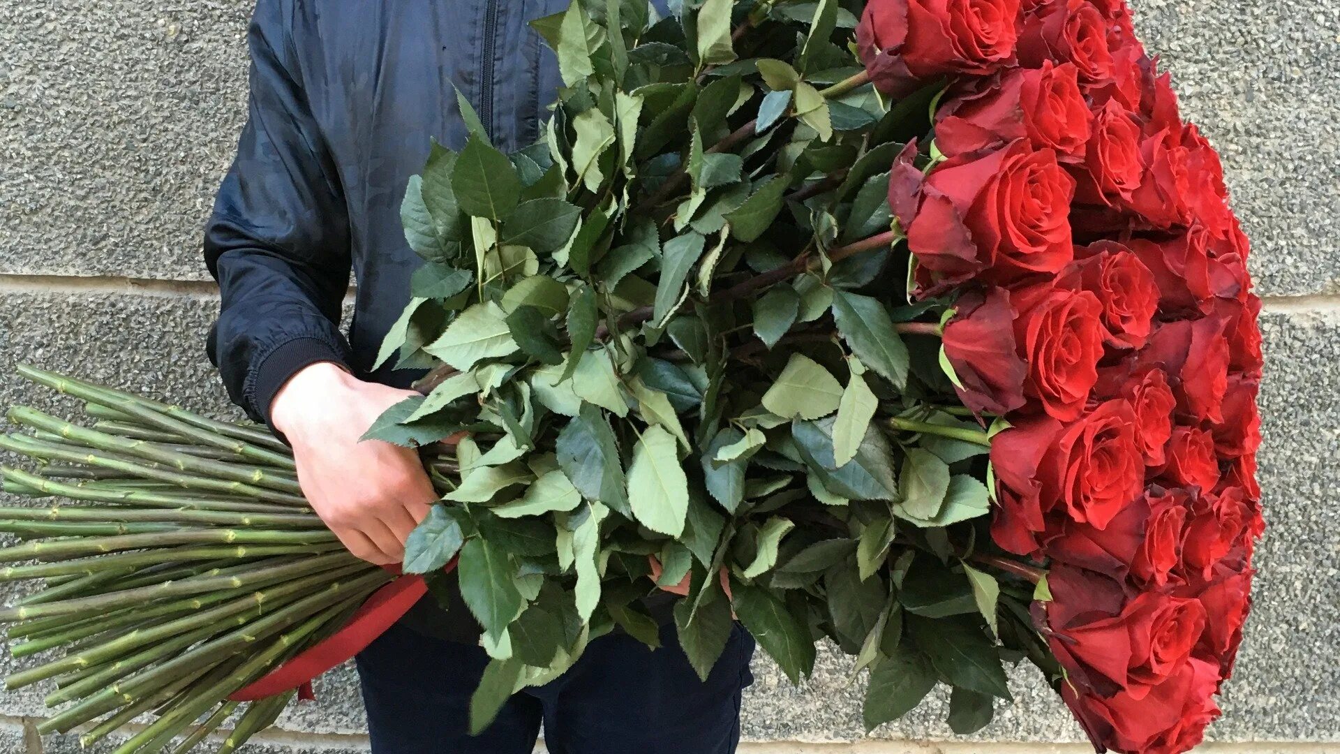 Букет крупных роз. Огромный букет цветов. Метровые розы. Голландские розы. Большие букеты доставка