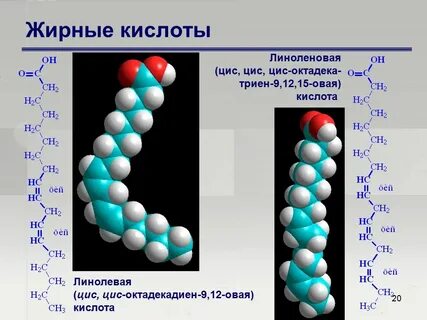 Цис кислота