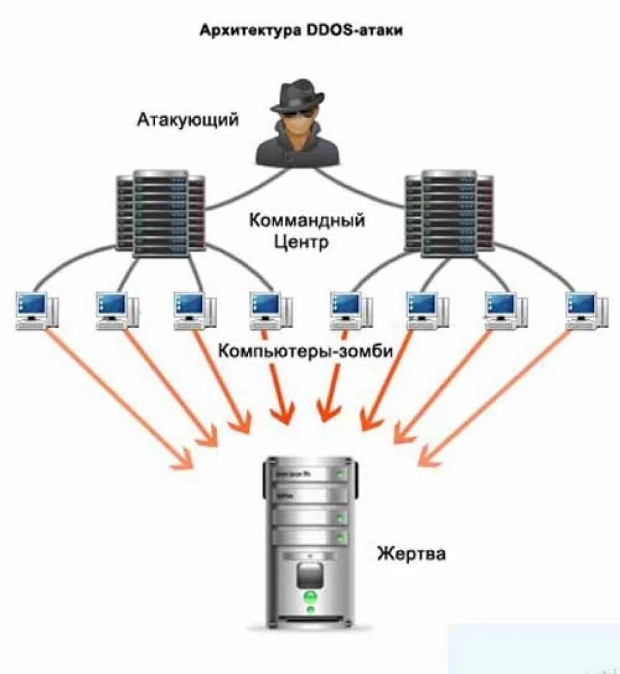 Какова цель разведывательной атаки на компьютерную сеть. Ddos схема. атака типа dos. атака типа отказ в обслуживании. схема ddos атаки.